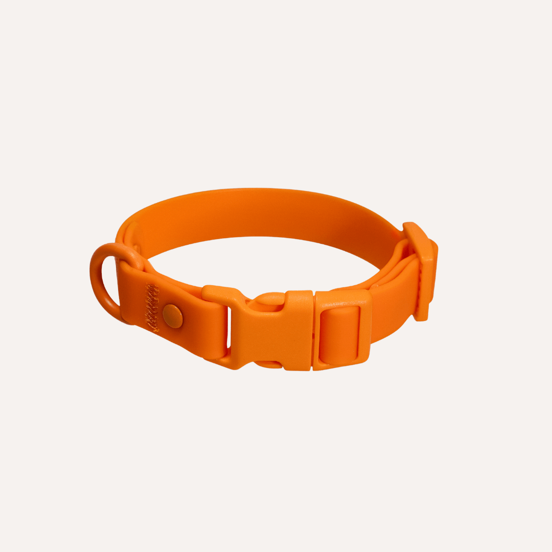 Tilley + Me PVC Dog Collar - All Weather Waterproof Durable & Odor-Resistant